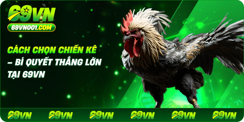 Cách Chọn Chiến Kê – Bí Quyết Thắng Lớn Tại 69VN