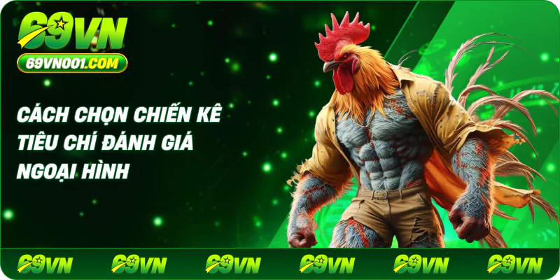 Cách Chọn Chiến Kê Tiêu Chí Đánh Giá Ngoại Hình