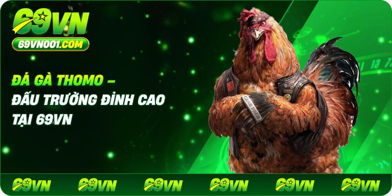 Đá Gà Thomo – Đấu Trường Đỉnh Cao Tại 69VN