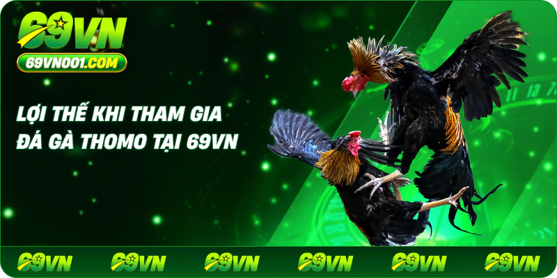 Lợi Thế Khi Tham Gia Đá Gà Thomo Tại 69VN
