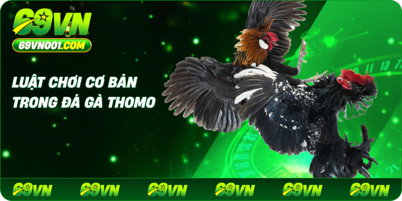 Luật Chơi Cơ Bản Trong Đá Gà Thomo